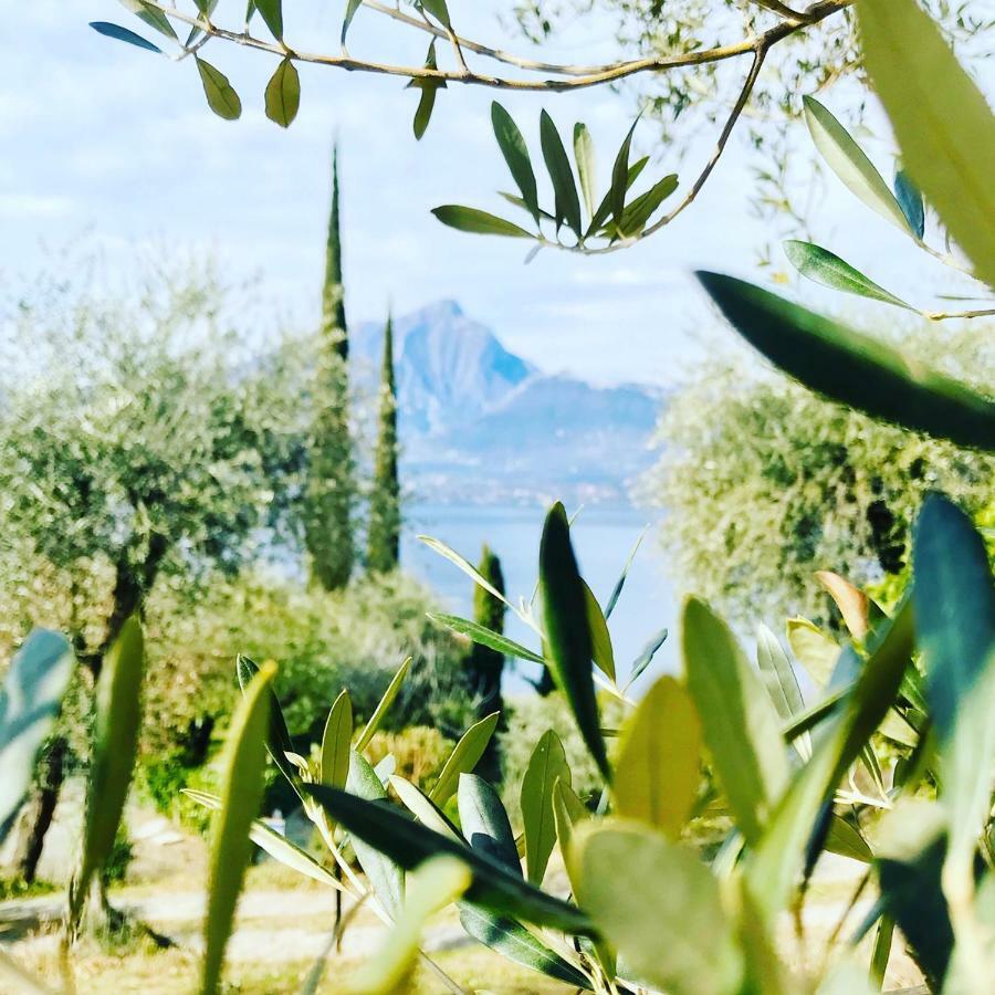 Maison Balu Villa Torri Del Benaco Luaran gambar